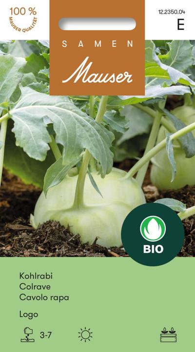 Actual product image Samen Mauser Bud Organic Kohlrabi Logo (Vegetable seeds)