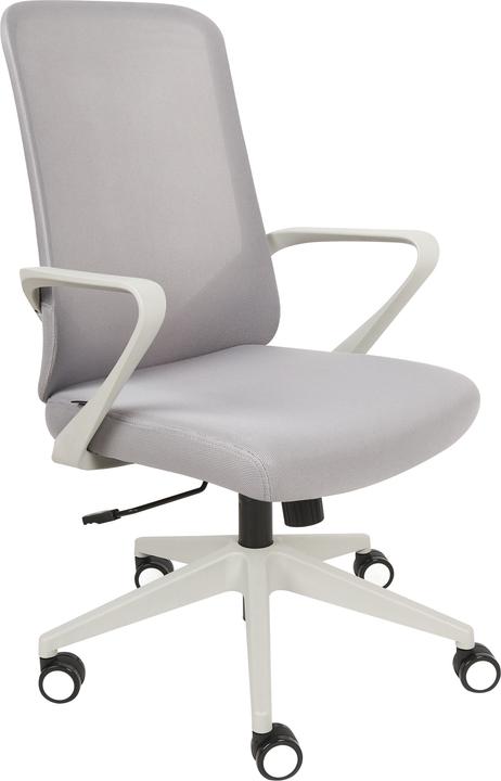 Immagine prodotto Beliani Expert (43 - 53 cm)