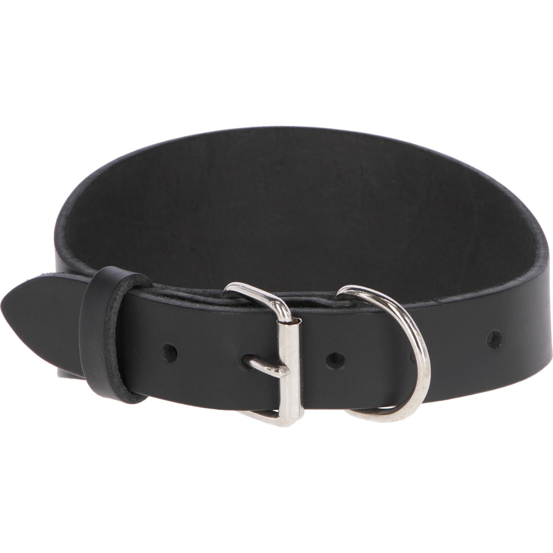 Kerbl MEXICA Halsband schwarz für Windhunde, 27-35cm x 1,5cm (27, 28, 29, 30, 31, 32, 33, 34, 35, Hund), Halsband + Lein...