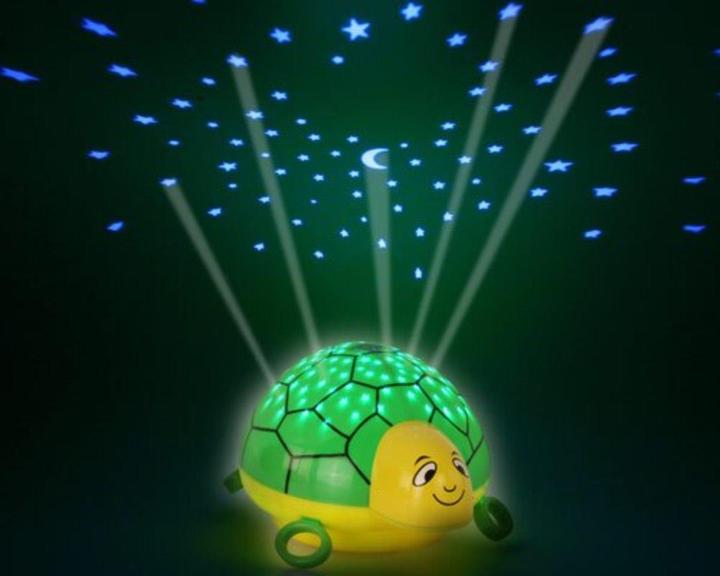 Image du produit Ansmann Tortue