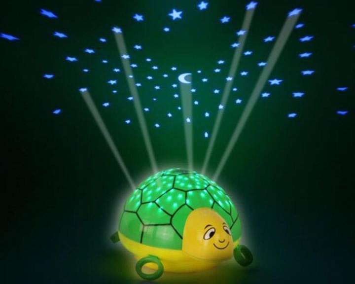 Image du produit Ansmann Tortue