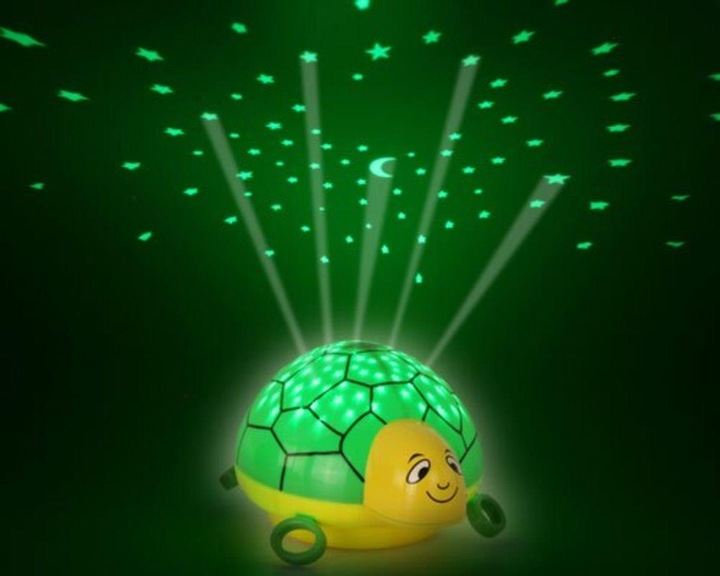 Image du produit Ansmann Tortue
