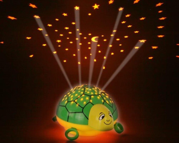 Image du produit Ansmann Tortue
