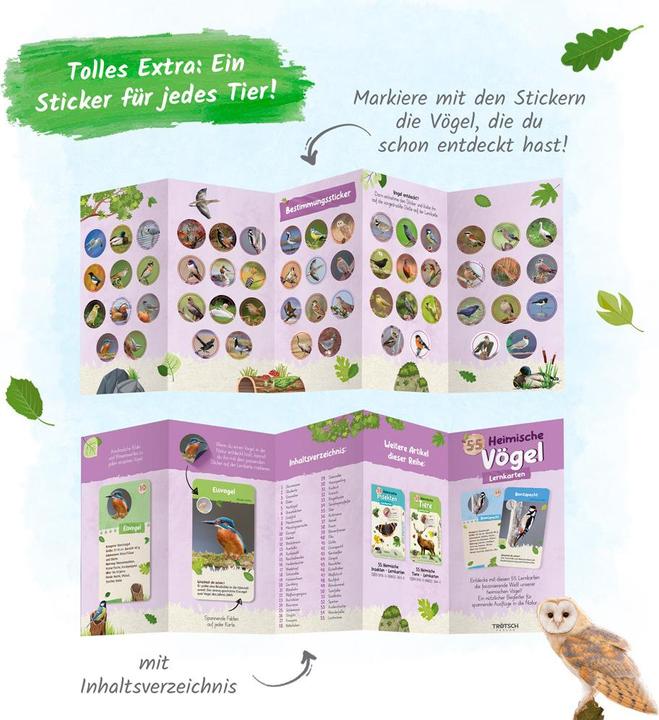 Produktbild 55 Lernkarten Heimische Vögel (Deutsch)