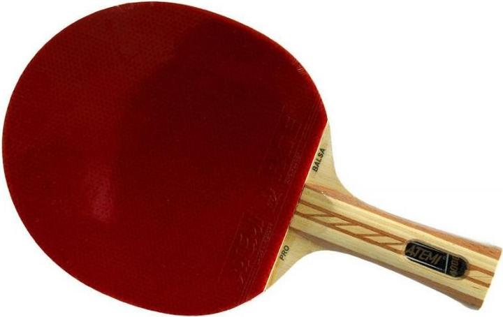 NoName Tischtennisschläger 4000