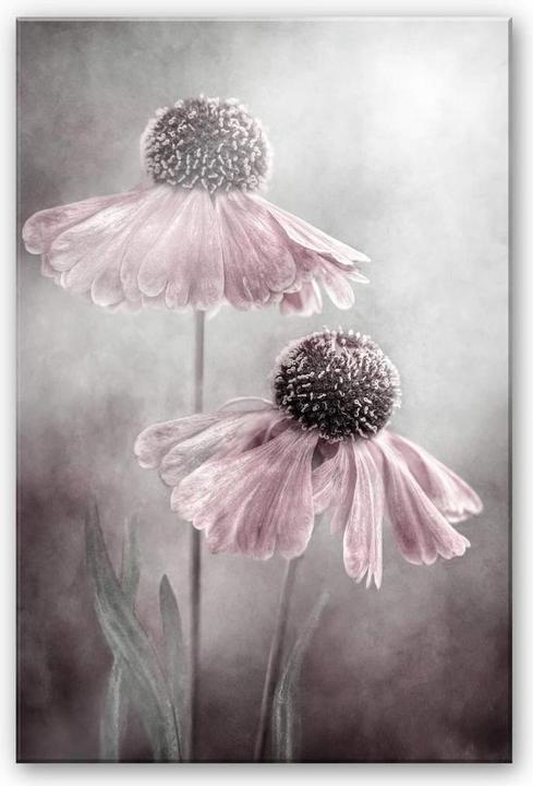 Image du produit Trenddeko Duo rose (75 x 120 cm)