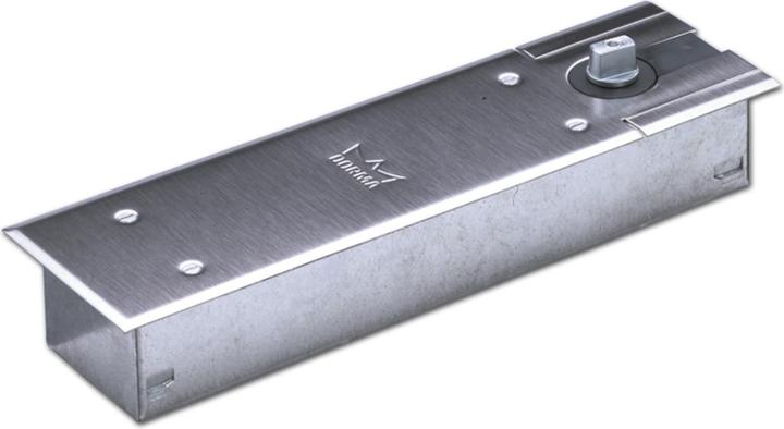 Actual product image Dormakaba Floor spring BTS 80 (Entrance door, Indoor)