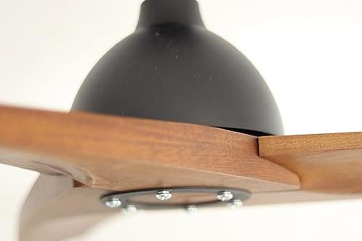 Actual product image Pepeo Lypsi