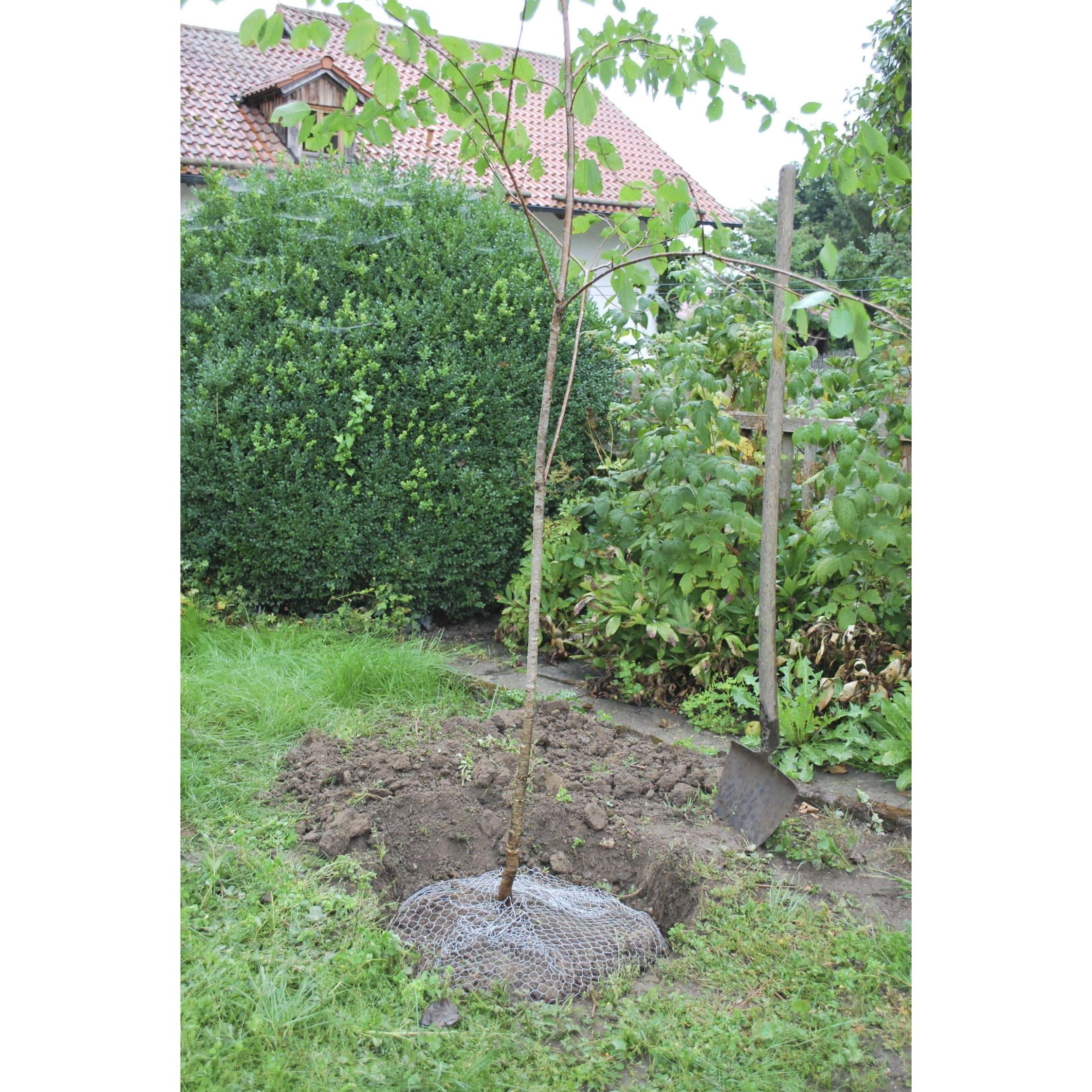 Thumbnail - Kerbl, Tiervertreiber, Wühlmauskorb