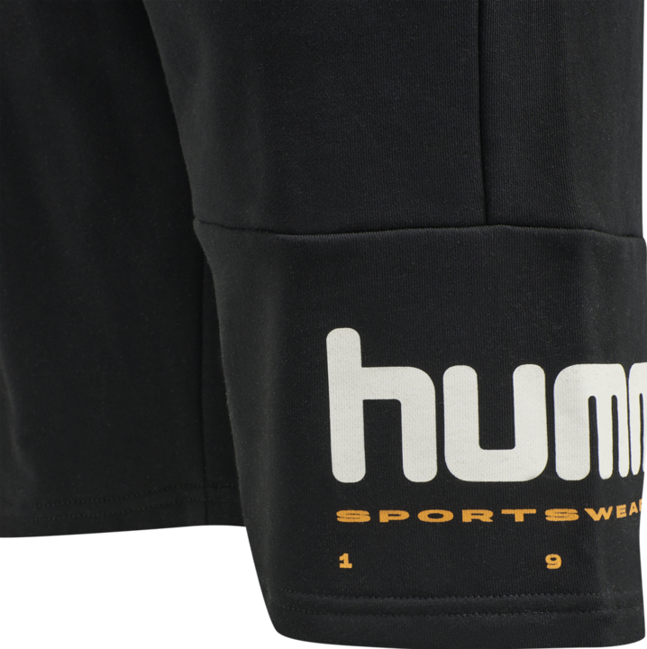 Actual product image hummel Lgc Manfred Shorts (S)