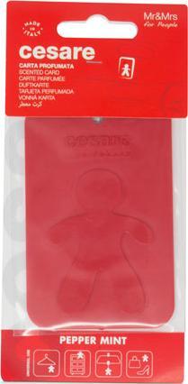 Image du produit Mr & Mrs Fragrance Scented Card Pefferminz