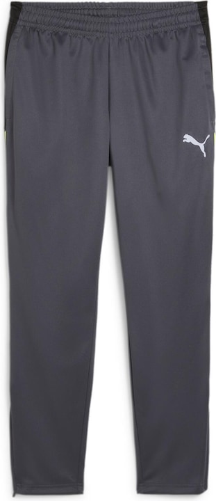 Puma IndividualLIGA Training Pants