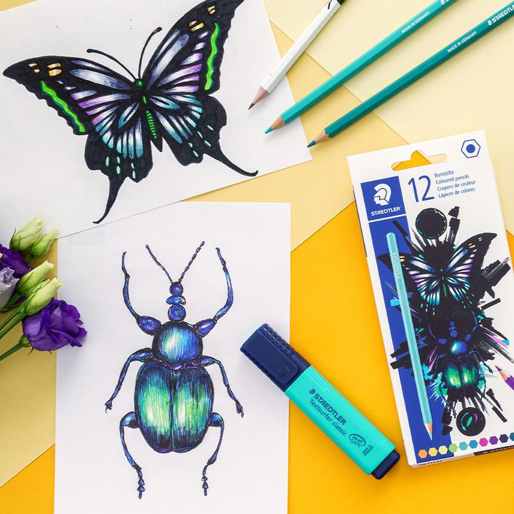 Actual product image Staedtler Biros ball 4320 M, 10-pack cardboard case (Multicoloured, 10x)