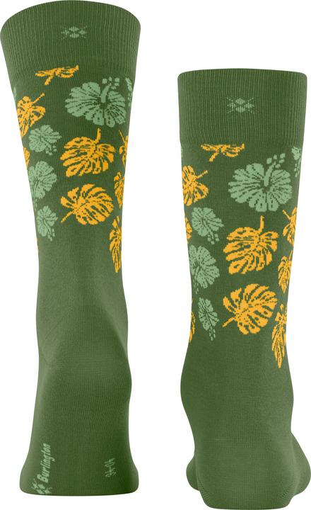 Produktbild Burlington Aloha Breeze SO (40 - 46)