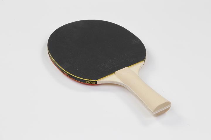 Actual product image Joola Family