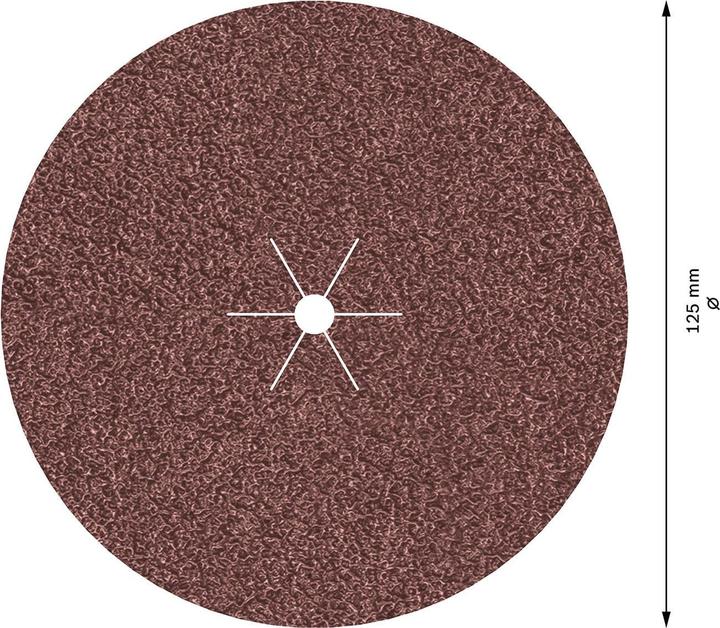 Actual product image Bosch Professional Zubehör PRO F460 sanding sheet, 125 mm, G40 (40)