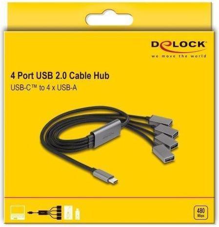 Actual product image Delock Hub (USB-C, 4 ports)
