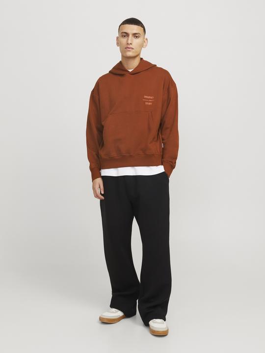 Immagine prodotto Jack & Jones Joraustin Font Sweat Hood Styd Aw24 (S)