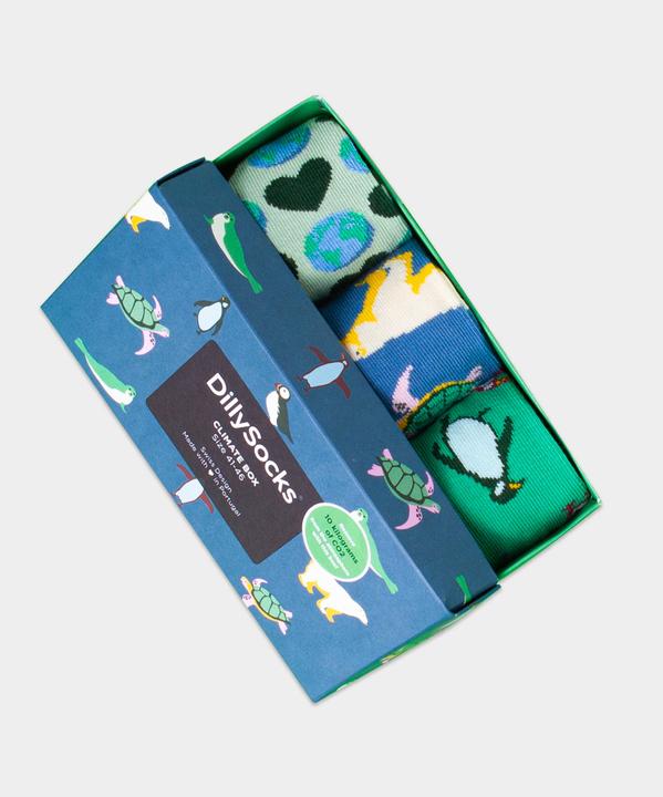 Actual product image DillySocks Climate Box (Single pack, 36 - 40)