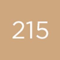 Image du produit Diego dalla Palma High Coverage Foundation Sun Protection Factor 20 215 (215)