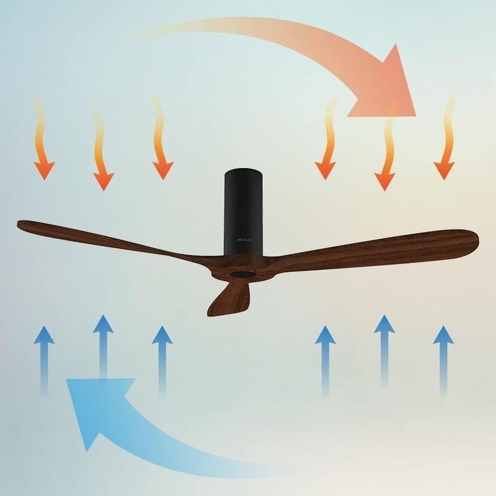 Produktbild Cecotec 08241