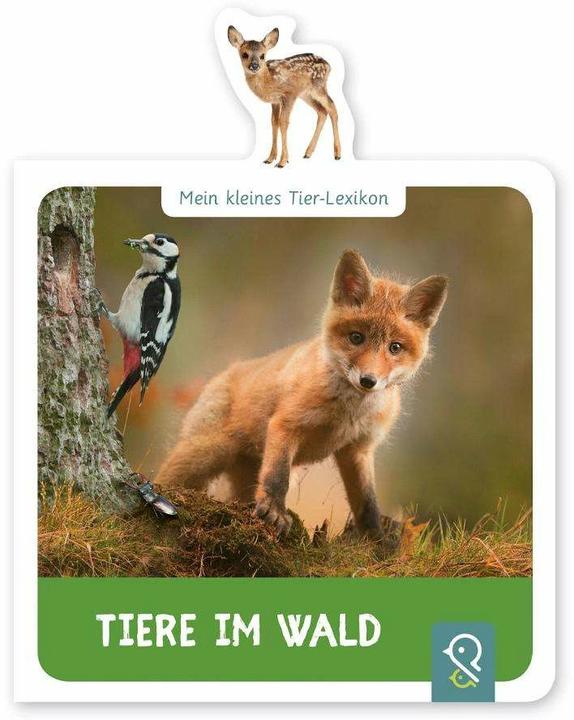 Produktbild Tiere im Wald (Deutsch, Hannah Kastenhuber, 2018)