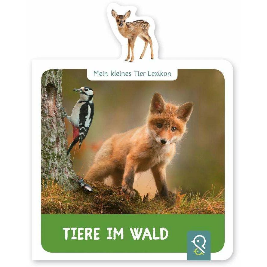 Tiere im Wald, Kinderbücher von Hannah Kastenhuber