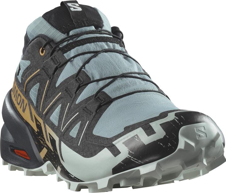 Image du produit Salomon Speedcross 6 GTX - 68434 (46 2/3)