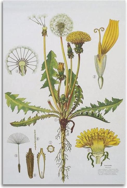 Image du produit Samsung Odyssey OLED G8 - G81SF (3840 x 2160 pixels, 27")