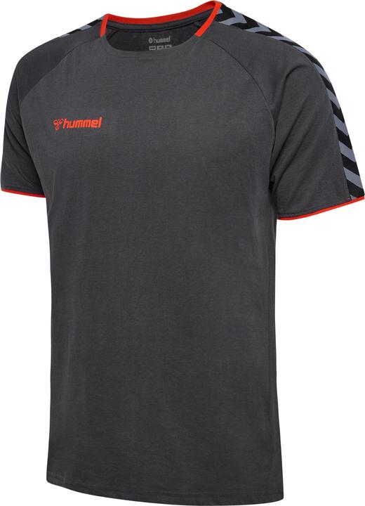 Actual product image hummel Authentic Training Tee (S)