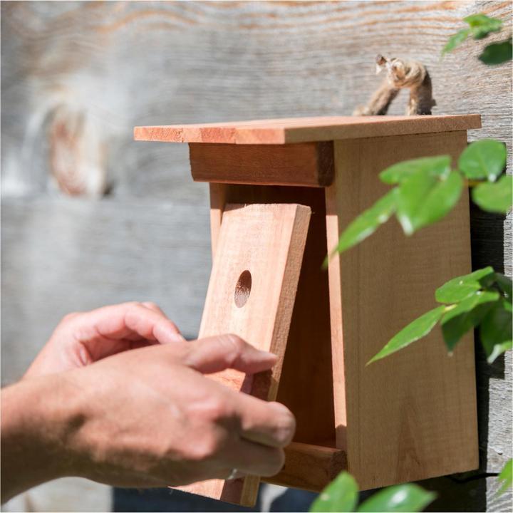 Actual product image Windhager Birdy