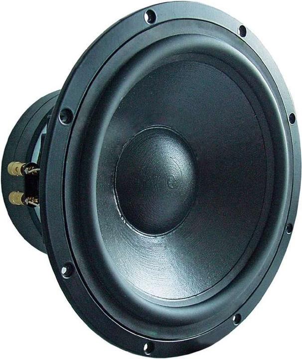 Actual product image Visaton TIW 300 woofer, 8 Ohm