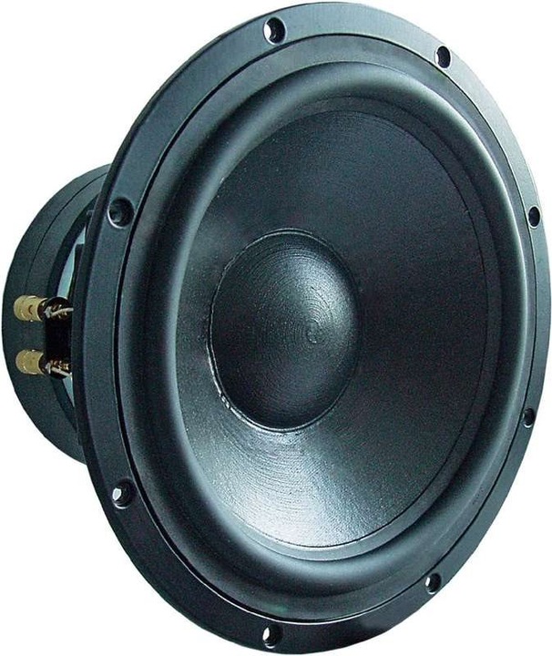 Image du produit Visaton Woofer TIW 300, 8 ohms