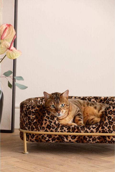 Immagine prodotto Kare Design Letto per cani e gatti Diva Leo (Gatto, Cane)