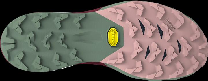 Produktbild Dynafit Alpine Pro 2 Laufschuh (37)