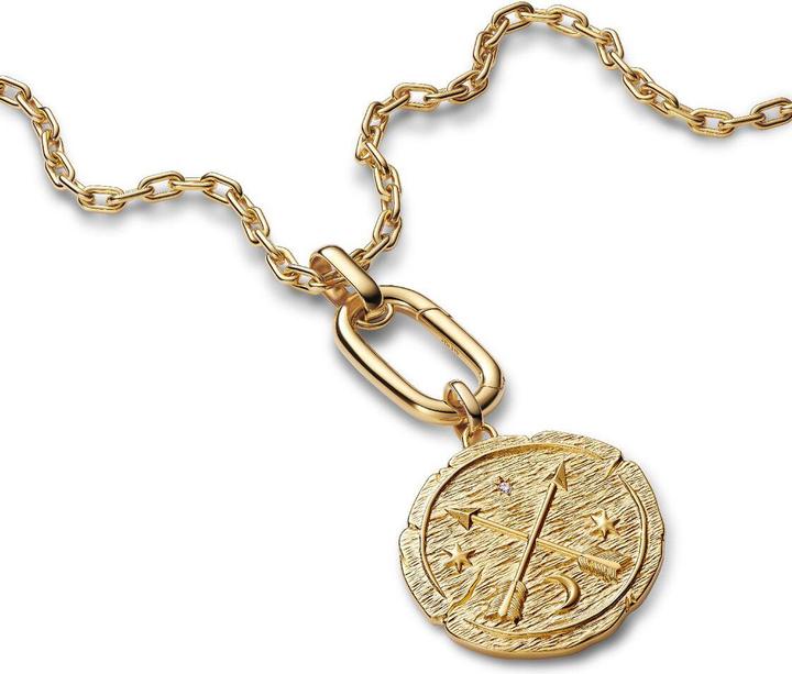 Immagine prodotto Pandora ME Gekreuzte Pfeile Grosses Medaillon Charm (Metallo placcato oro, 585 oro giallo)
