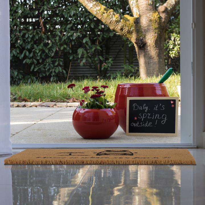 Immagine prodotto Relaxdays Zerbino (40 x 60 cm)