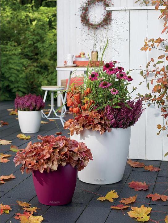 Image du produit Lechuza Classico Color (42 x 39.50 cm)