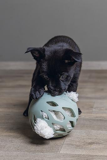 Immagine prodotto Beeztees Nijno (Giochi per cuccioli)