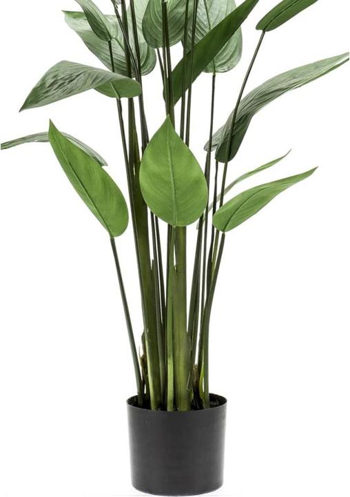 Actual product image Emerald Bara (125 cm)