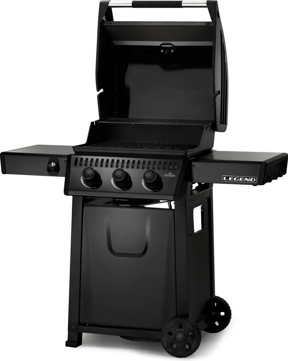 Actual product image Napoleon Legend 365 (12 kW)