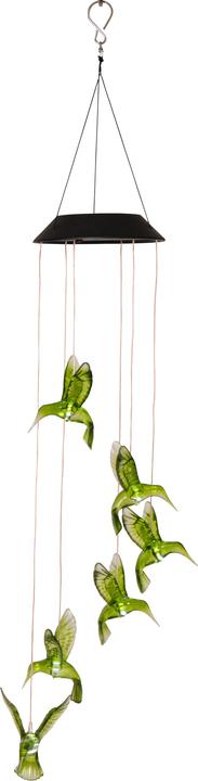 Immagine prodotto Star Trading Decorazione solare colibrì