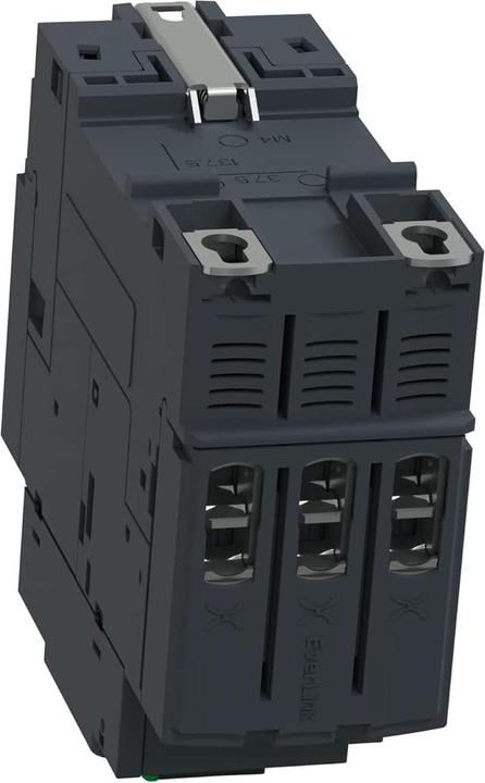 Immagine prodotto Schneider Electric Interruttore magnetotermico 30-40A
