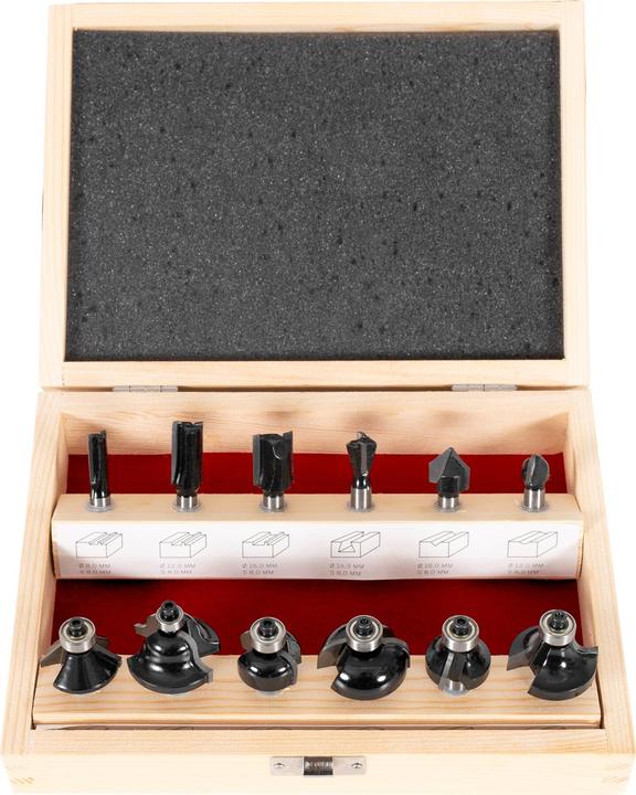 Stier Fräsersortiment 12-teilig 8 mm