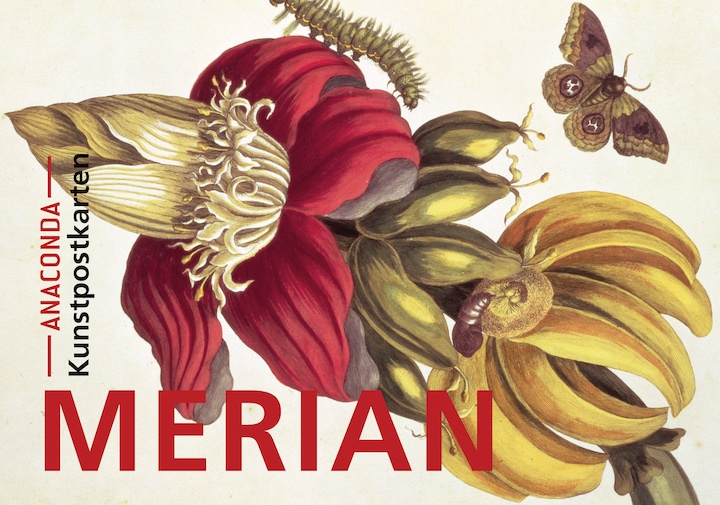 Produktbild Postkarten-Set Maria Sibylla Merian (20 Stk.)
