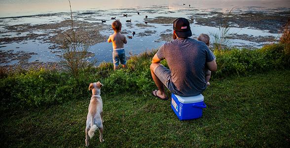 Produktbild Coleman Cooler (15 l)