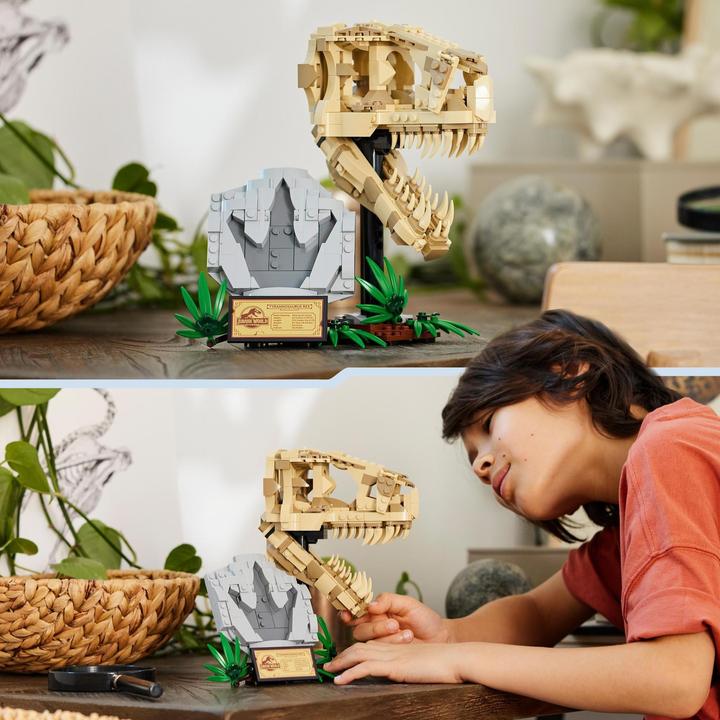 Produktbild LEGO Dinosaurier-Fossilien: T.-rex-Kopf (76964, LEGO Jurassic World)