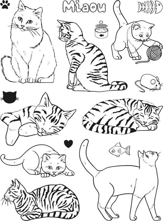 Produktbild Aladine Stempel-Set "Katzen"