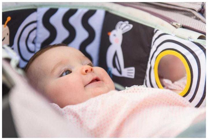 Image du produit Taf Toys Livre bébé koala