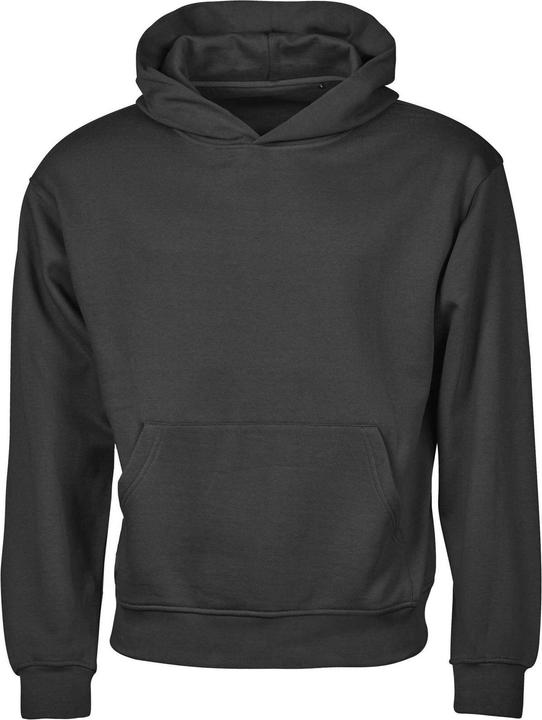 Produktbild Tee Jays Urban Kapuzenpullover Schwere Qualität lose Passform (L)